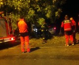 Śmiertelny wypadek w Sarbinowie niedaleko Kostrzyna. Mitsubishi na łuku drogi uderzyło w drzewo