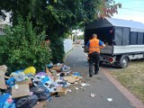Śmieci na Podzamczu w Szczecinie. Sposobem na bałagan może być kolejna wiata od miasta
