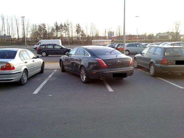 Jaguar na dwóch miejscach parkingowych