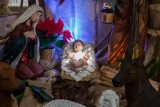 Przegląd szopek bożonarodzeniowych w bydgoskich kościołach. Zobaczcie zdjęcia