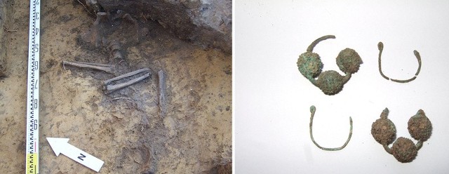 Po lewej fragment odkrytego w Przemyślu grobu szkieletowego. Na drugim zdjęciu znalezione przy zmarłych ozdoby - zausznice malinowate, podobne do współczesnych kolczyków.