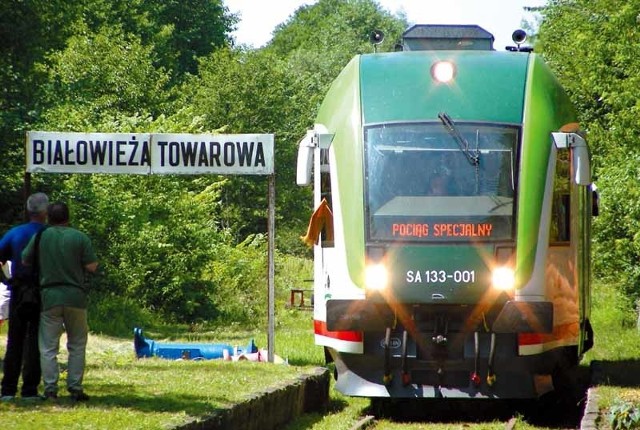 Specjalnym pociągiem i autobusem szynowym z Hajnówki do Białowieży podróżowało ponad 300 osób