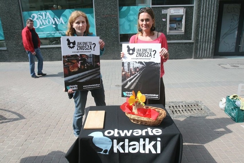 "Jak one to znoszą" - Protest ekologów w Katowicach [ZDJĘCIA]