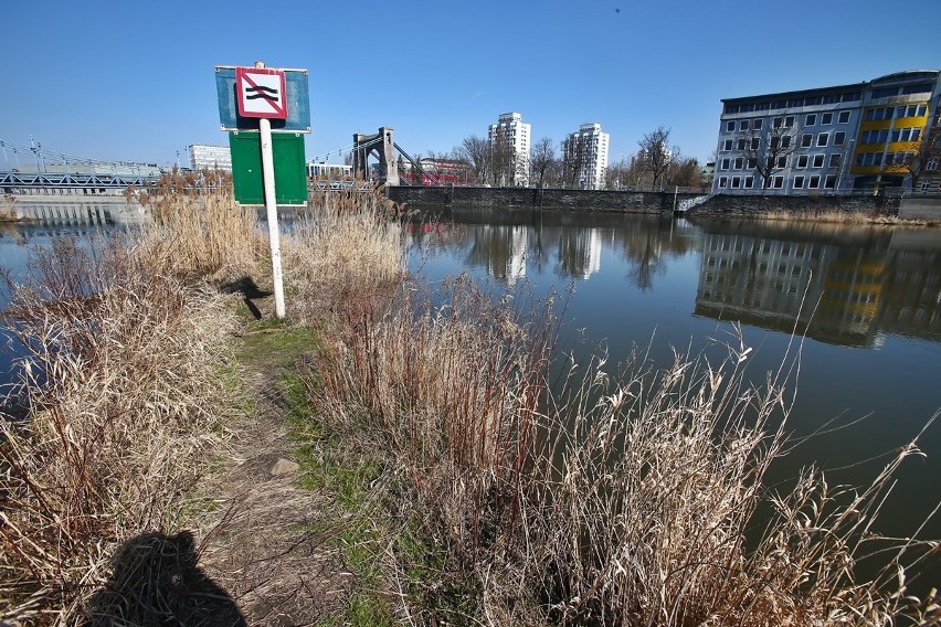 We Wrocławiu powstanie miejska marina? Jest taka szansa