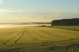 Działki budowlane w Świdniku. Planujesz budowę domu? Sprawdź oferty gruntów budowlanych z terenu miasta