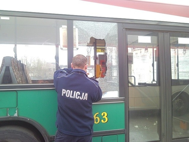 Straty w autobusie gorzowskiego MZK oszacowano na 1,3 tys. zł