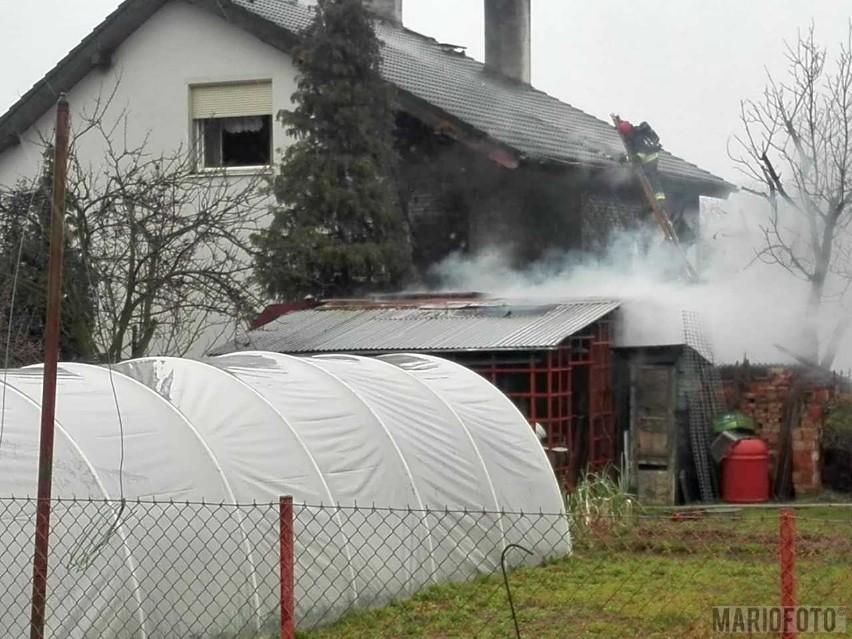 Pożar w Zielęcicach koło Brzegu. Paliła się altana i drewniany barakowóz. Nie ma poszkodowanych