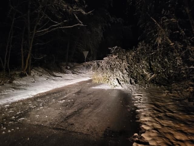 Kwietniowy atak zimy w powiecie włoszczowskim. Pracowita noc strażaków, mnóstwo połamanych drzew. Zobacz zdjęcia