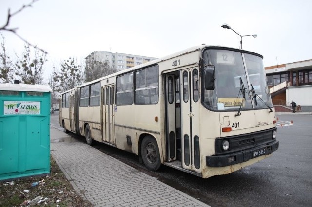 MZK ma obecnie 87 autobusów, a średnia ich wieku to ponad 13 lat. Najstarsze przegubowe ikarusy (na zdjęciu jeden z nich) jeżdżą już po Opolu od 30 lat i w tym roku mają być wycofane z tras.