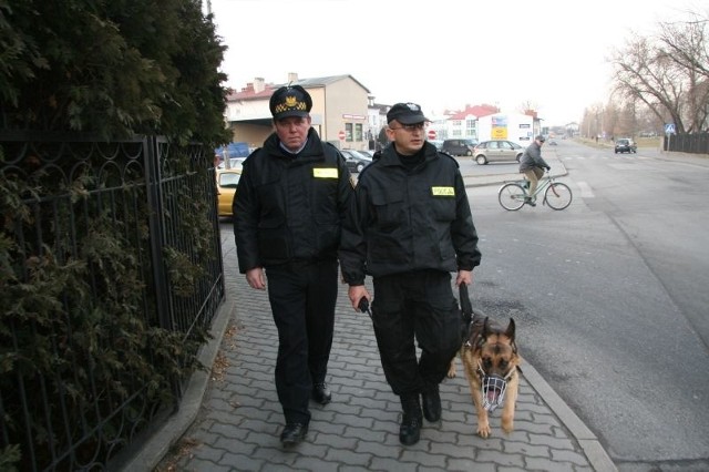 Takie łączone patrole już można spotkać na ulicach Szydłowca, zwłaszcza w okolicach supermarketów, targowisk, dworca PKS.