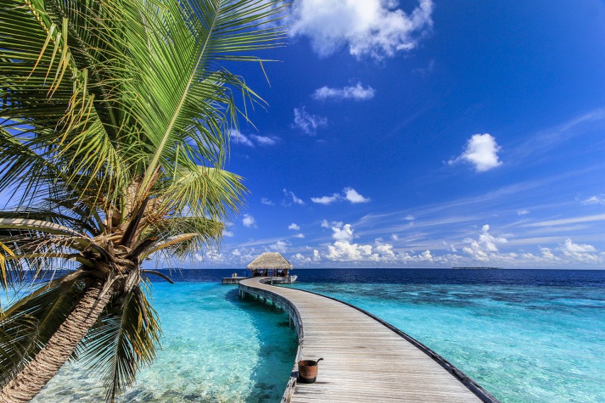 Przykładowe oferty wycieczek na Malediwy:...
