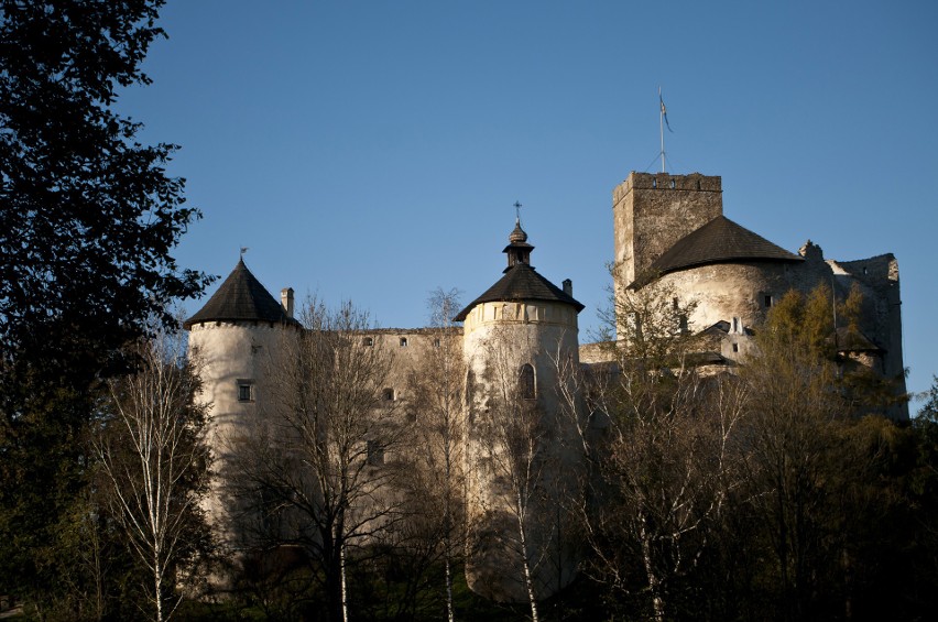 Niedaleko zamku w Niedzicy mieści się glamping, który jest...