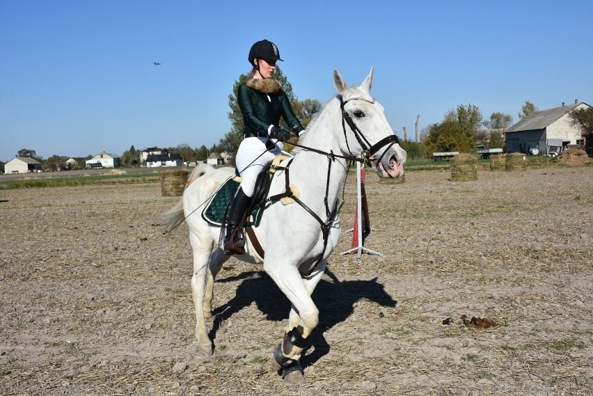 Hubertus 2021 w powiecie chełmskim. Była tradycyjna gonitwa za lisem oraz pokazy z udziałem koni. Zobacz zdjęcia
