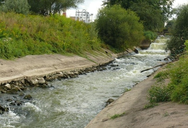 Kanał zrzutowy wody z Sanu, która ochładzała turbiny w Elektrowni Stalowa Wola.