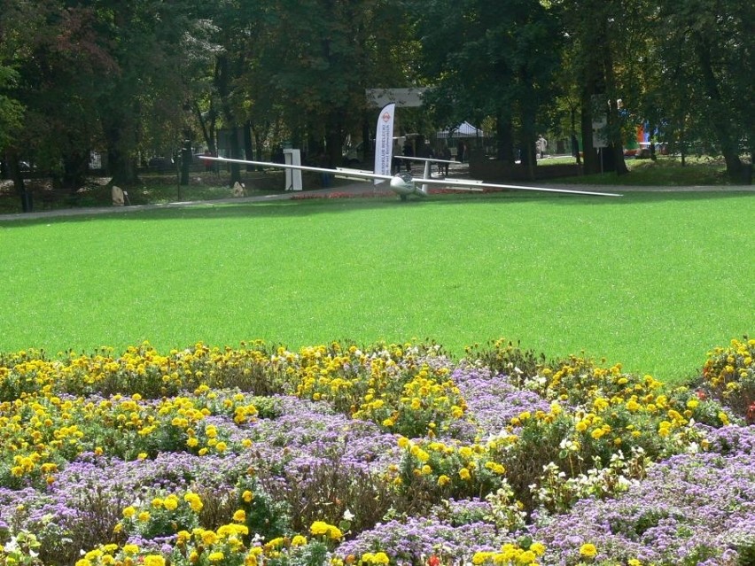 II Piknik Ekologiczny - Lataj jak ptak w Tarnobrze