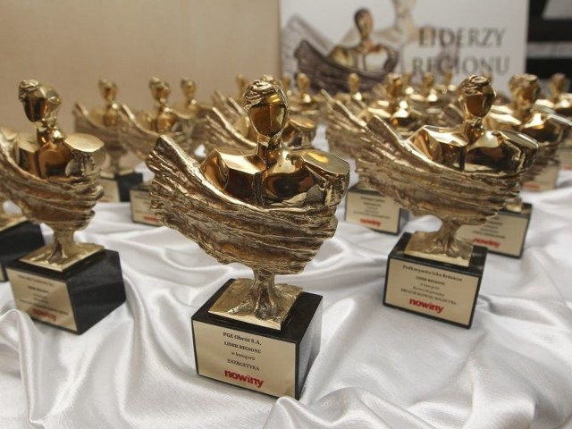 Serdecznie gratulujemy Liderom Regionu 2012. Zobacz galerię z gali.