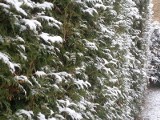 Pogoda w Łodzi: Sylwester na zimowo
