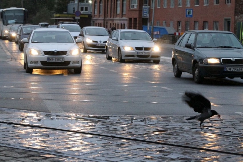 Awaria na skrzyżowaniu Borowskiej i Dyrekcyjnej. Zamknięte dwa pasy jezdni i zmiany w rozkładzie MPK