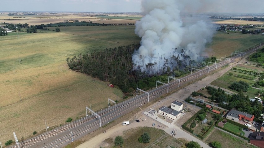 We wtorek wczesnym popołudniem w Sokołowie doszło do pożaru...