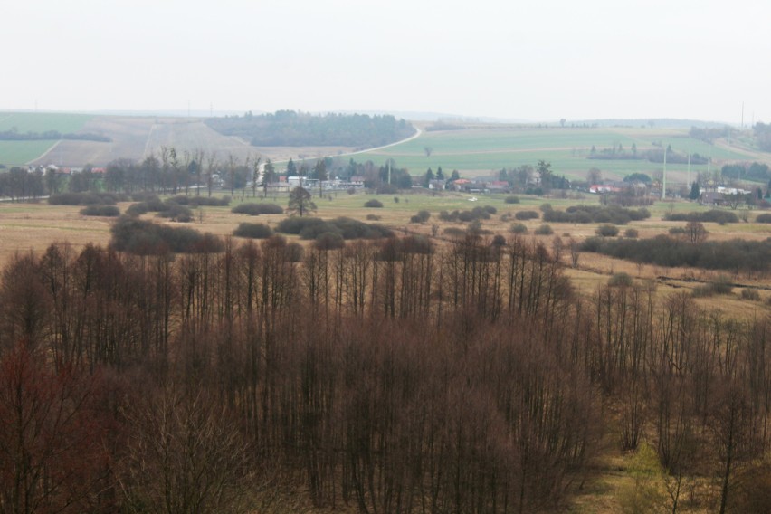 Wieża widokowa w Szczebrzeszynie i jej okolice