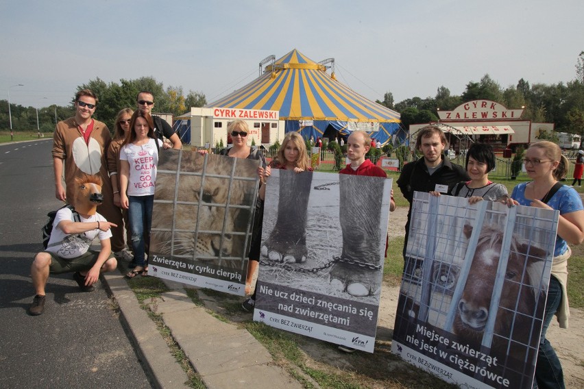 "Łódź nie robi cyrku ze zwierząt". Protest Fundacji Viva! pod cyrkiem przy Piłsudskiego [ZDJĘCIA]