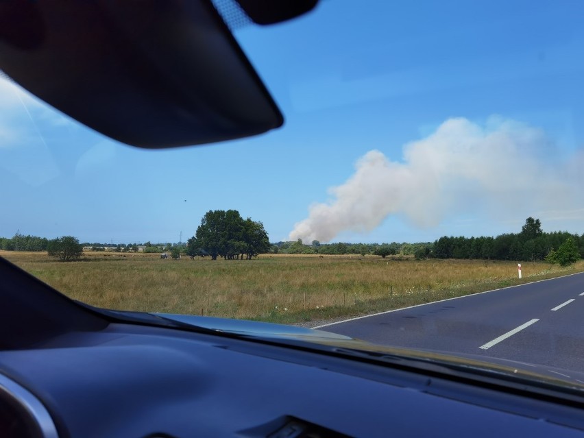 Pożar pola w Rzepkowie koło Suchej Koszalińskiej