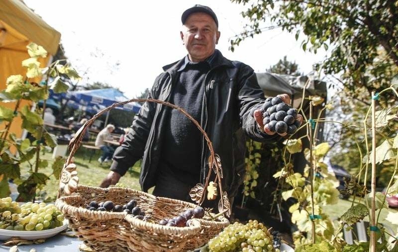 Giełda ogrodnicza i święto winobrania w Boguchwale