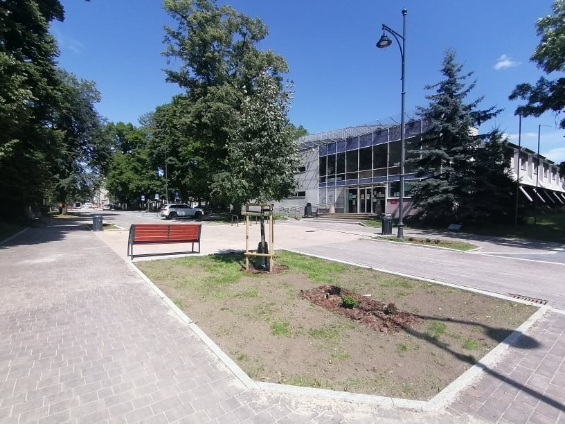 Woonerf na ul. Stefanowskiego z mniejszą ilością drzew niż planowano. Do remontu kolejny odcinek ulicy ZDJĘCIA