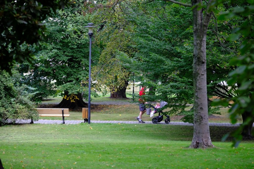 Park Chopina w Gliwicach...
