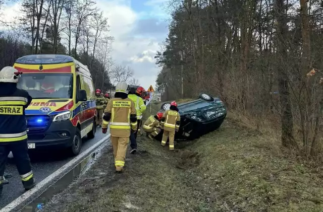 Na miejscu wypadku na krajowej trasie numer 79 w Skrzypaczowicach
