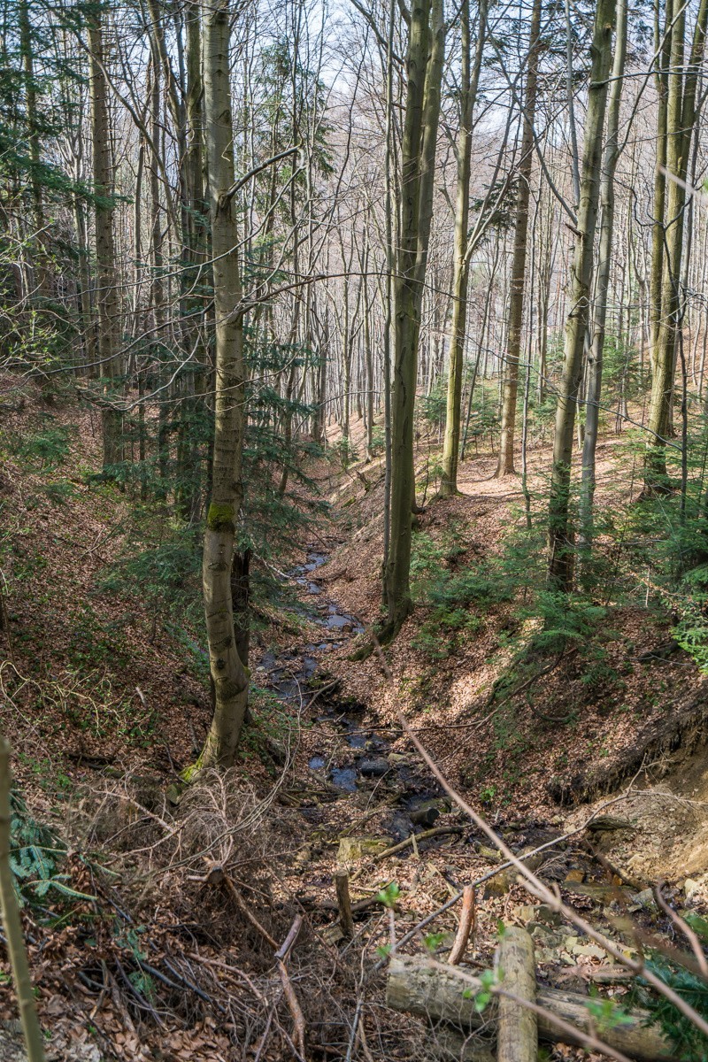 Beskid Sądecki ze szczytu góry Jaworze [ZDJĘCIA]