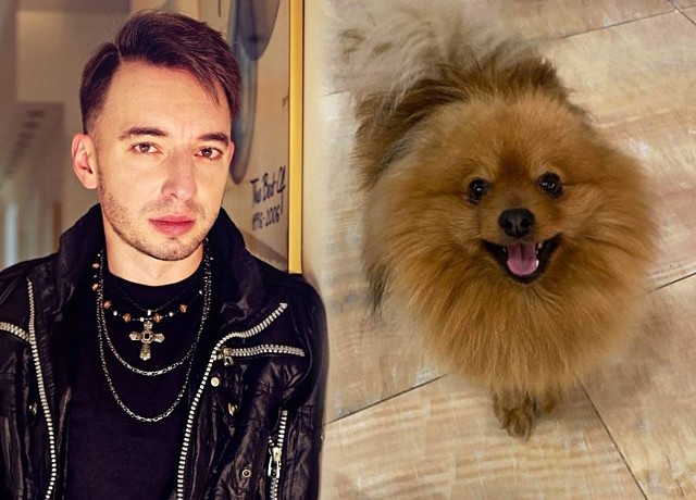 Adam Konkol, lider zespołu Łzy, poinformował, że ktoś zastrzelił jego psa. To mały pomeranian.
