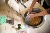 Kolor gąbki do mycia naczyń - co oznacza? Od niego zależy, co można nią teraz umyć