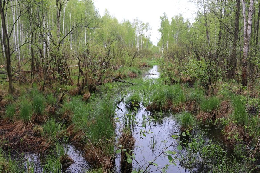 Podlaska Izba Rolnicza informuje, że 27.02.2023 r. o godz....