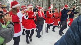 XV Mikołajkowy Nordic Walking odbył się w Puszczy Kozienickiej. Uczestnicy przeszli piękną trasę. Zobaczcie zdjęcia