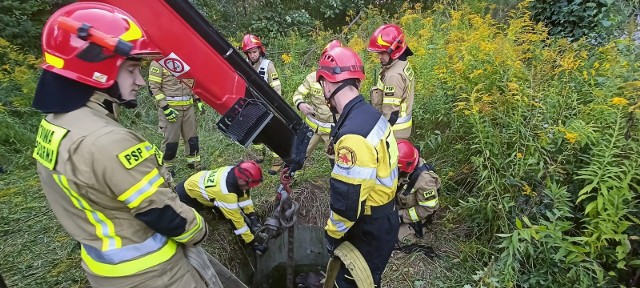 Do zdarzenia doszło w sobotę 3 września popołudniu. Dzięki sprawnej akcji strażaków koń nie poniósł obrażeń.