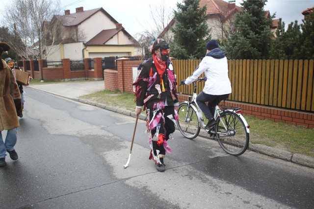 Żandary na Ławicy w 2015 roku