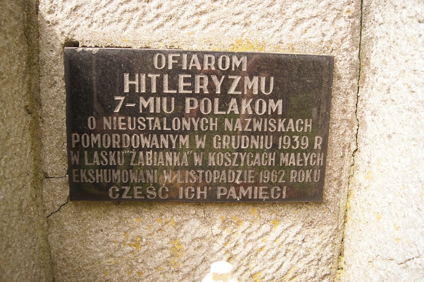 Drugi ze zbiorczych grobów w Koszycach Małych, w którym...
