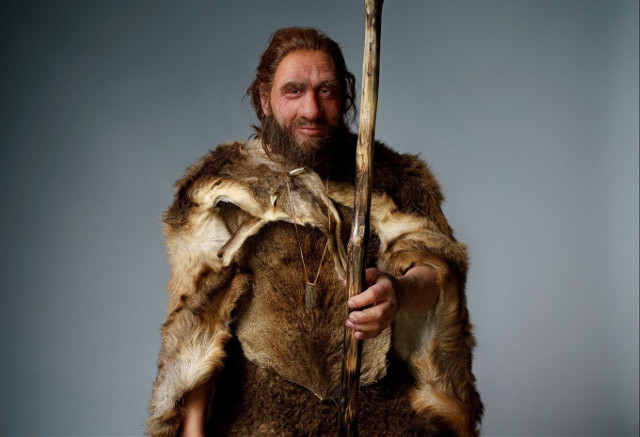 Nowy eksponat na wystawie antropologicznej „Śladami naszych przodków”. To naturalnych rozmiarów neandertalczyk!