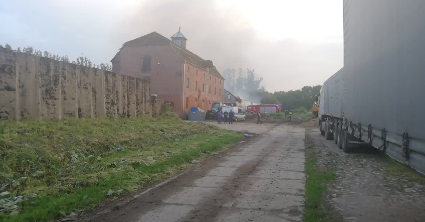 Pożar pustostanu w miejscowości Dochowo. Strażacy walczyli z oginem