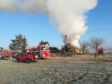 Pożar w miejscowości Nicponie w gminie Chojnice. Dach nad głową straciło dwóch braci [zdjęcia]