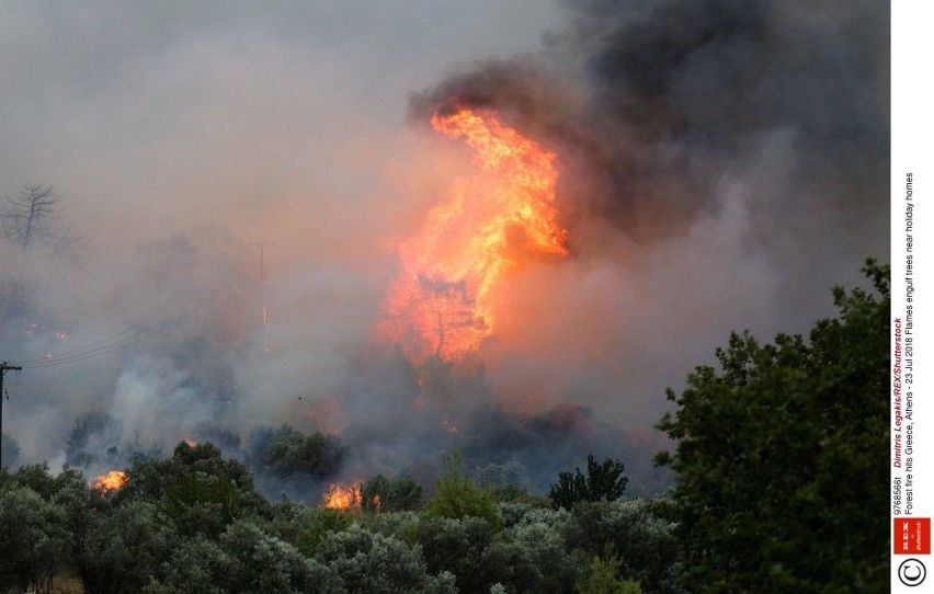 Pożary w Grecji. Jest ponad 60 ofiar śmiertelnych, w tym dwie osoby z Małopolski