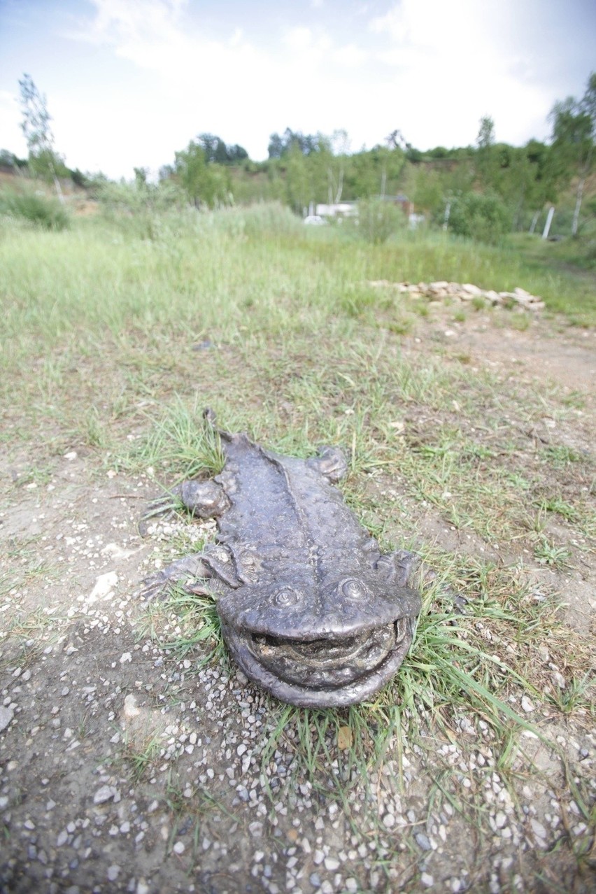 Piknik geologiczny w GEOsfera w Jaworznie