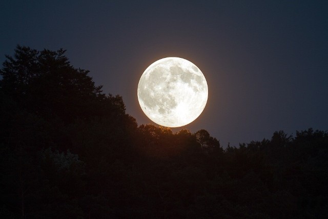 Księżyc Żniwiarzy, czyli wyjątkowa pełnia Księżyca w piątek 13.09.2019. To zjawisko warto oglądać