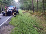 Wypadek w Bierdzanach na drodze krajowej nr 45. Kierowca volkswagena wpadł do rowu. Pogotowie zabrało go do szpitala