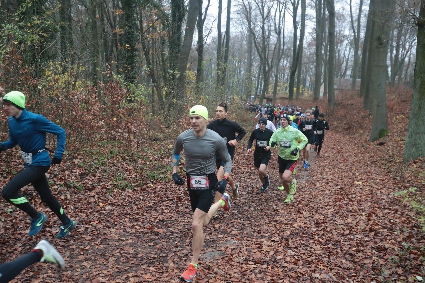 Listopadowy City Trail Szczecin.