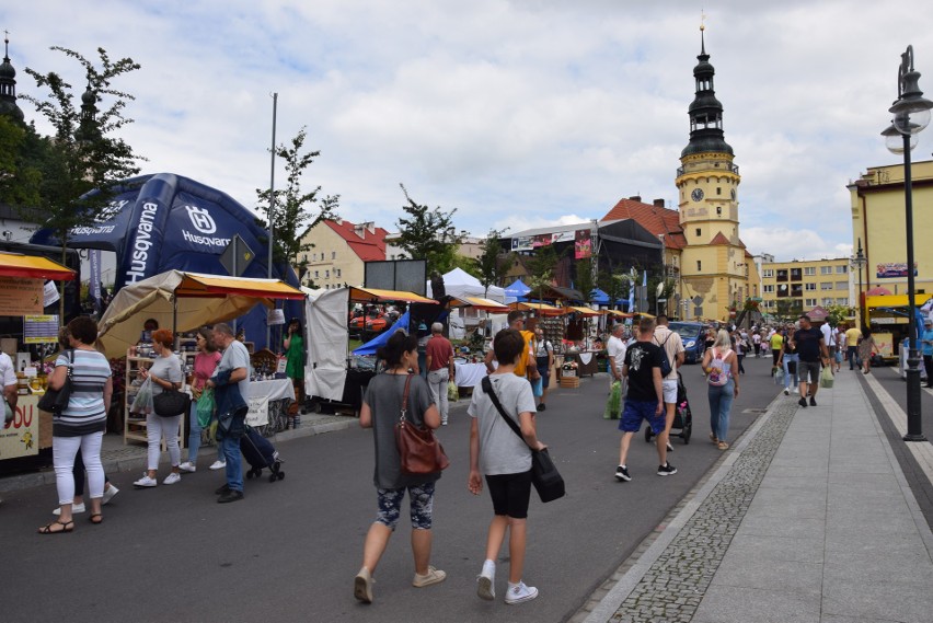 Wszystko, co chcesz wiedzieć o kwiatach, dowiesz się w Otmuchowie