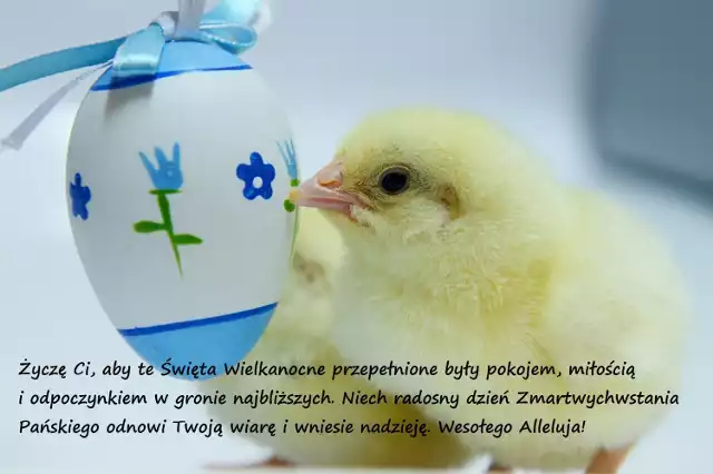 Życzenia Wielkanocne 2016. Piękne życzenia SMS, zabawne wierszyki (ŻYCZENIA NA WIELKANOC)