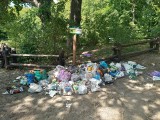 Hałdy śmieci porzucone w lesie w Otominie k. Gdańska. Sytuacja regularnie się powtarza. ZDJĘCIA