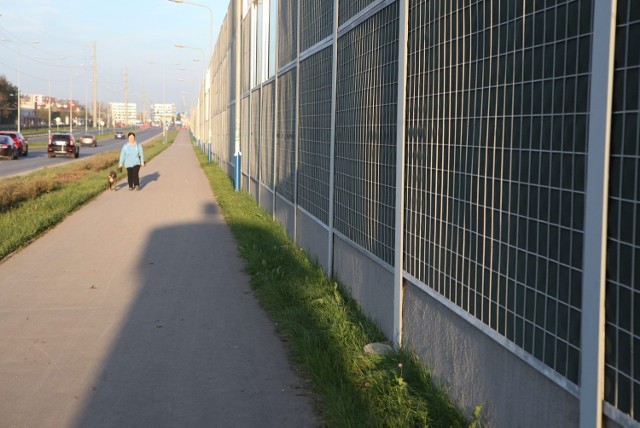 Na Ruczaju jest mało drzew. Na razie jedyną roślinnością, jaka się tam pojawi będzie bluszcz sadzony na ekranach akustycznych